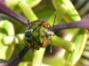 310077 – Photo : Feelzzy – France (28)